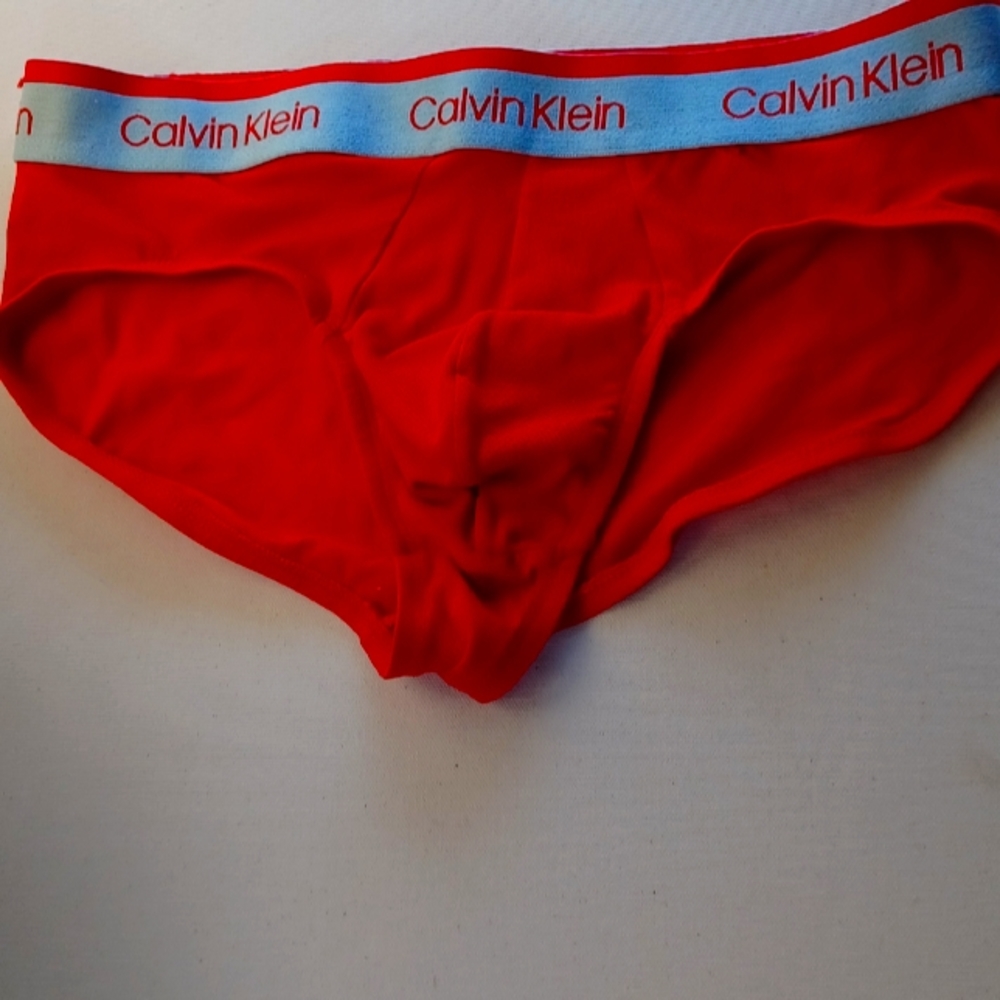 Calvin Klein Briefs